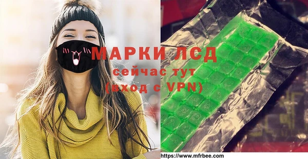 индика Алексин
