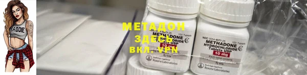 индика Алексин