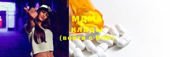 индика Алексин