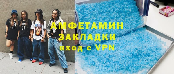 индика Алексин