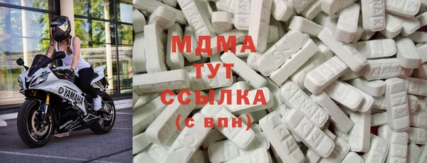 индика Алексин